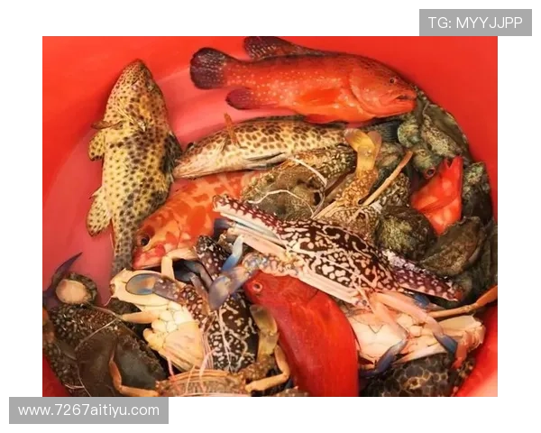 乐鱼体育：让你随时随地享受运动乐趣